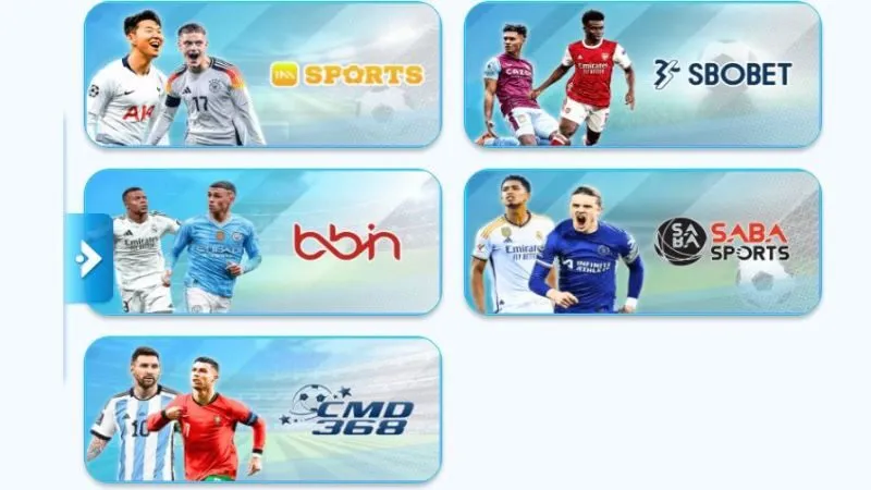 Cá cược thể thao 8Day